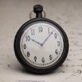 Fleurier Ivory Watch